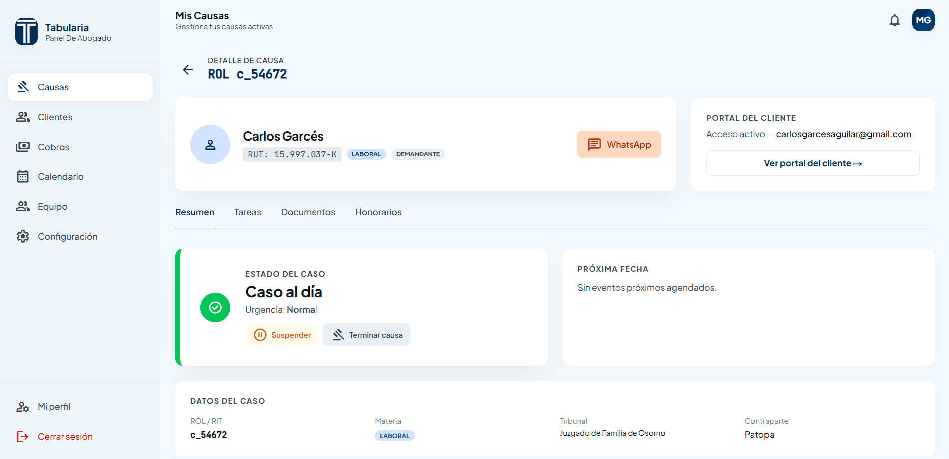 Resumen completo de cada causa en una sola vista
